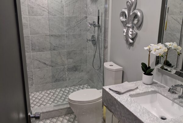 vanity, toilet, shower, ottawa plumbers